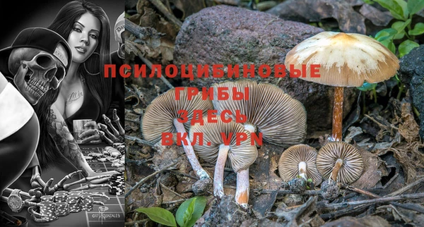 метадон Кинешма