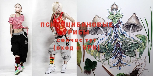 экстази Козловка