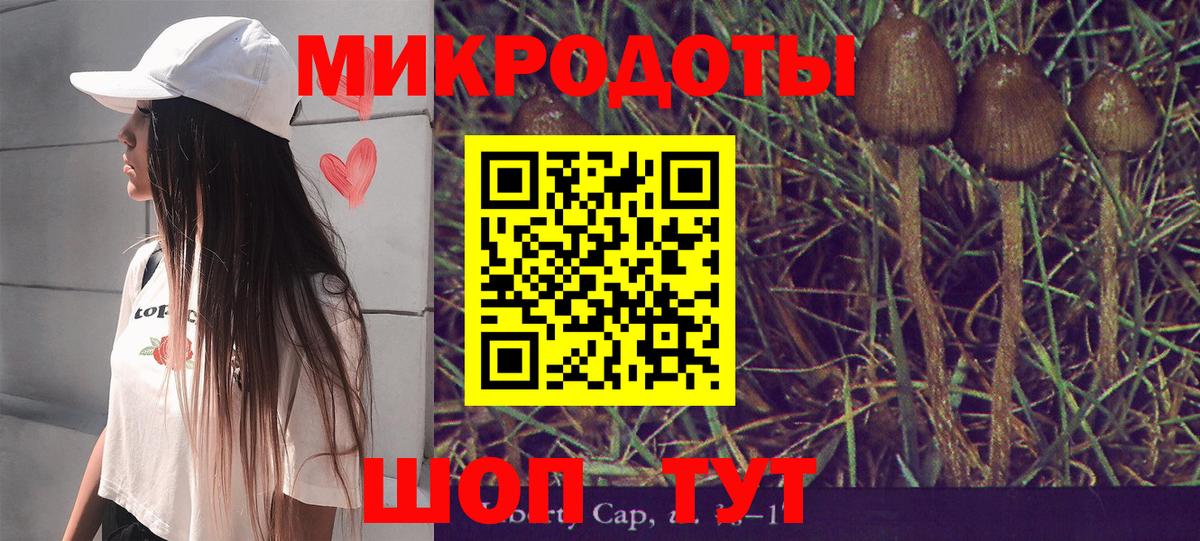 Псилоцибиновые грибы Psilocybe Дербент