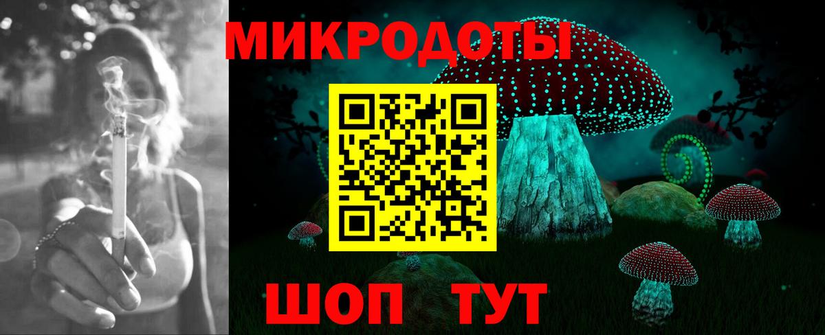Галлюциногенные грибы MAGIC MUSHROOMS  Дербент  Псилоцибиновые грибы Psilocybine cubensis 